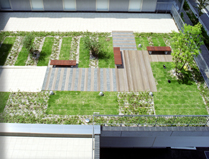 屋上庭園