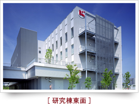 研究棟東面