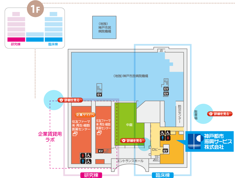 先端医療センター1F