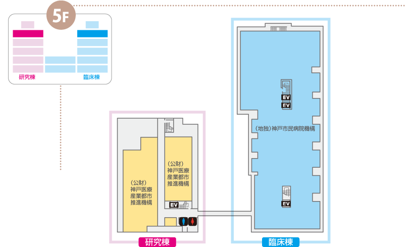 先端医療センター5F